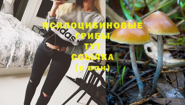 кристаллы Алексин