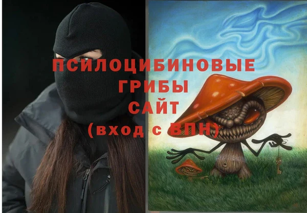 spice Арсеньев